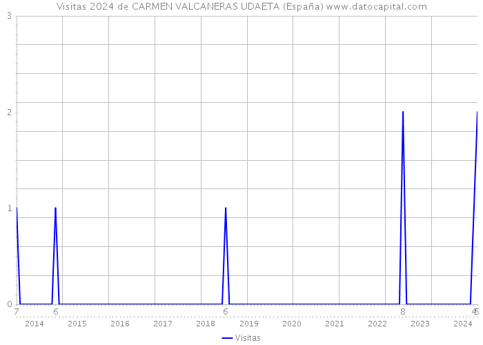 Visitas 2024 de CARMEN VALCANERAS UDAETA (España) 