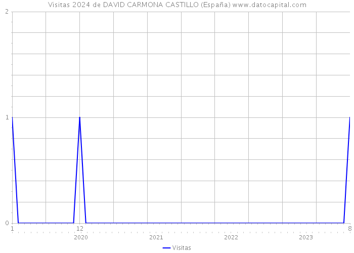 Visitas 2024 de DAVID CARMONA CASTILLO (España) 