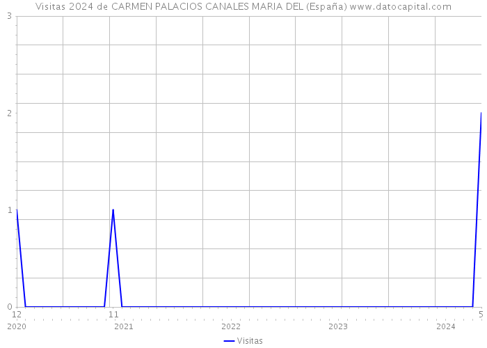 Visitas 2024 de CARMEN PALACIOS CANALES MARIA DEL (España) 