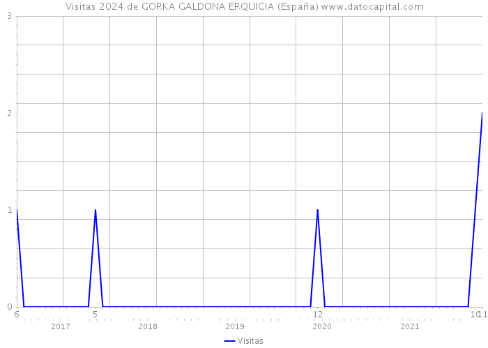 Visitas 2024 de GORKA GALDONA ERQUICIA (España) 