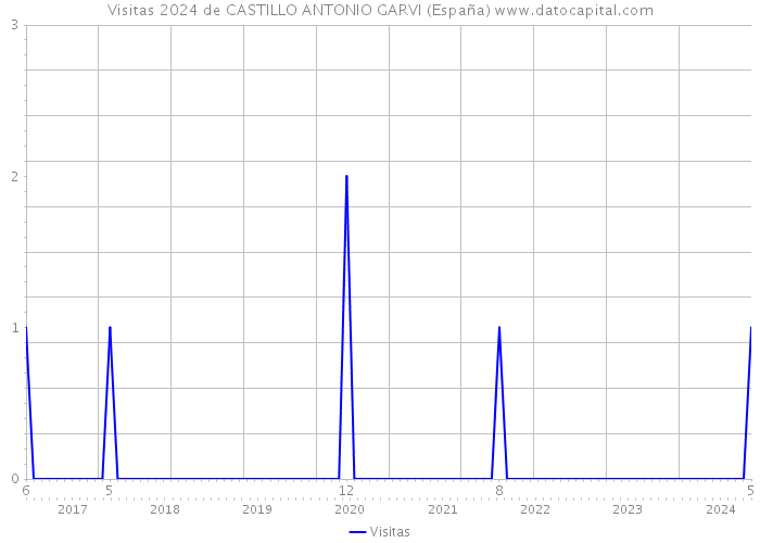 Visitas 2024 de CASTILLO ANTONIO GARVI (España) 