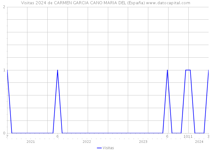 Visitas 2024 de CARMEN GARCIA CANO MARIA DEL (España) 