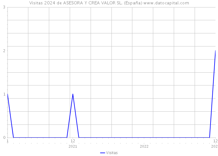 Visitas 2024 de ASESORA Y CREA VALOR SL. (España) 