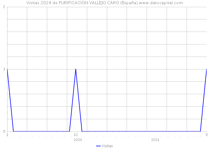 Visitas 2024 de PURIFICACION VALLEJO CARO (España) 