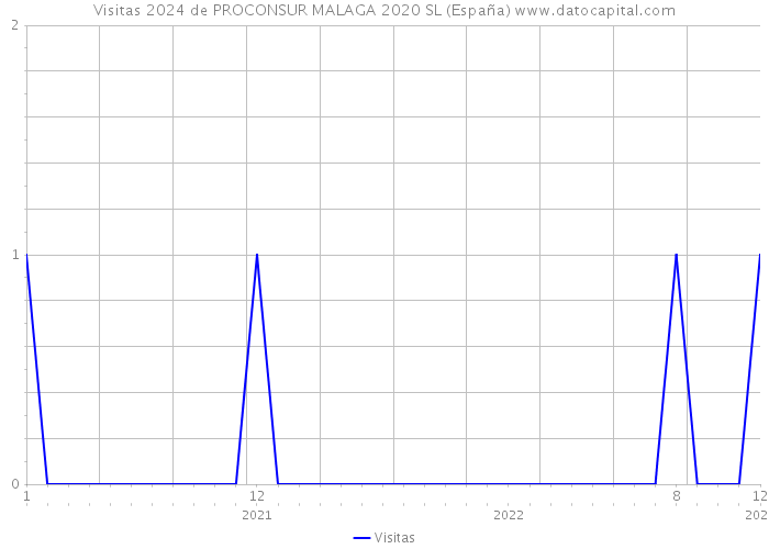 Visitas 2024 de PROCONSUR MALAGA 2020 SL (España) 