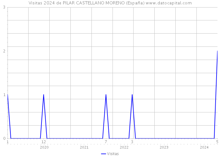 Visitas 2024 de PILAR CASTELLANO MORENO (España) 