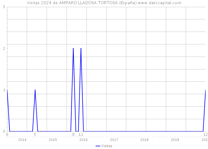Visitas 2024 de AMPARO LLADOSA TORTOSA (España) 