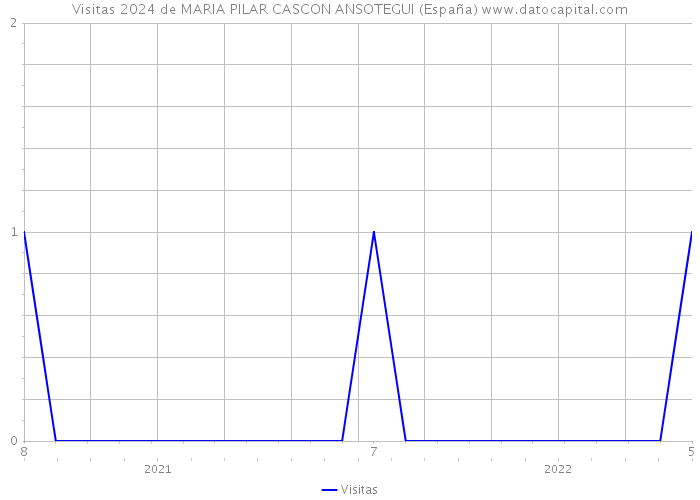 Visitas 2024 de MARIA PILAR CASCON ANSOTEGUI (España) 