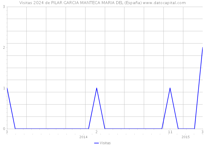 Visitas 2024 de PILAR GARCIA MANTECA MARIA DEL (España) 