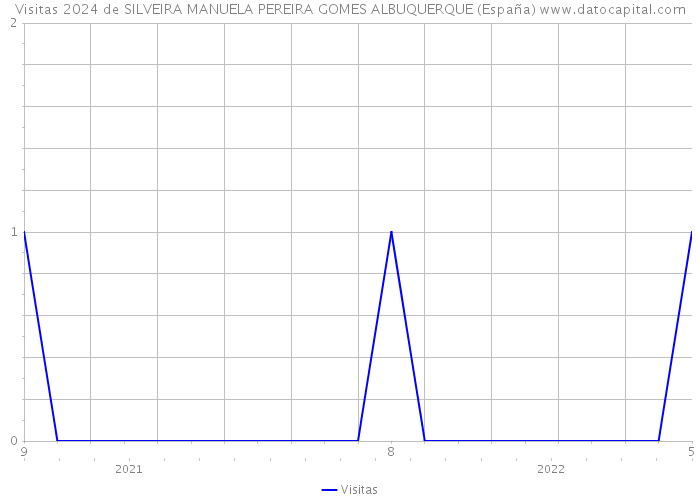 Visitas 2024 de SILVEIRA MANUELA PEREIRA GOMES ALBUQUERQUE (España) 