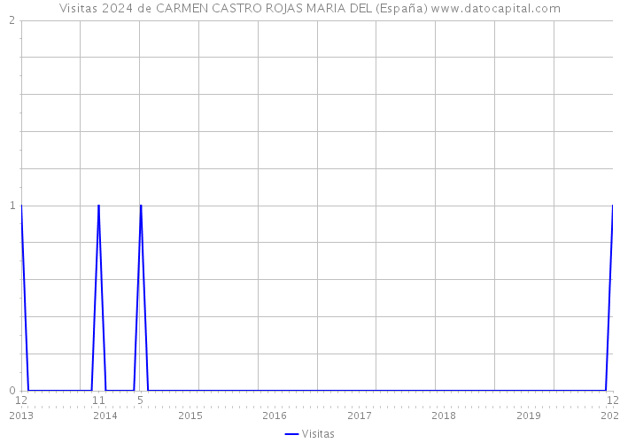 Visitas 2024 de CARMEN CASTRO ROJAS MARIA DEL (España) 