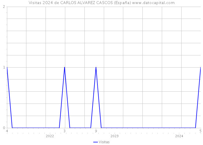 Visitas 2024 de CARLOS ALVAREZ CASCOS (España) 
