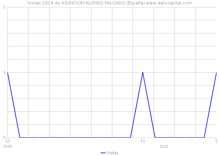 Visitas 2024 de ASUNCION ALONSO SALGADO (España) 