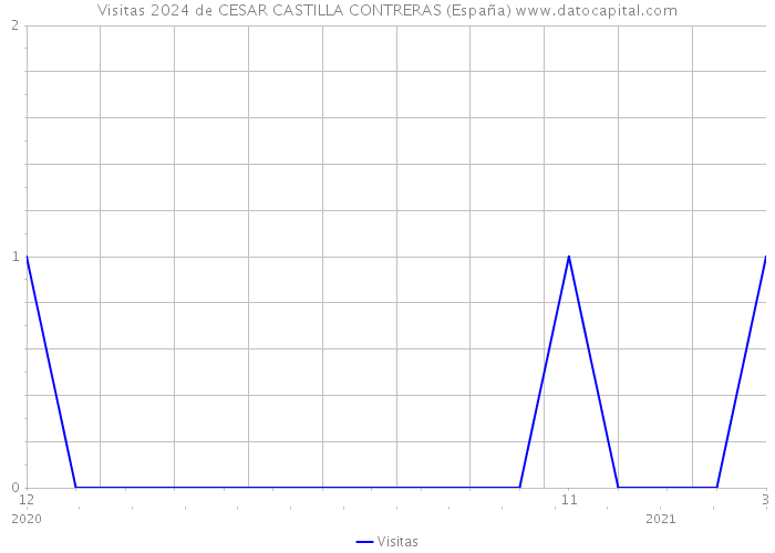 Visitas 2024 de CESAR CASTILLA CONTRERAS (España) 
