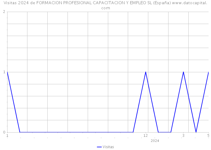Visitas 2024 de FORMACION PROFESIONAL CAPACITACION Y EMPLEO SL (España) 