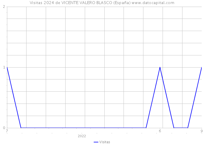Visitas 2024 de VICENTE VALERO BLASCO (España) 