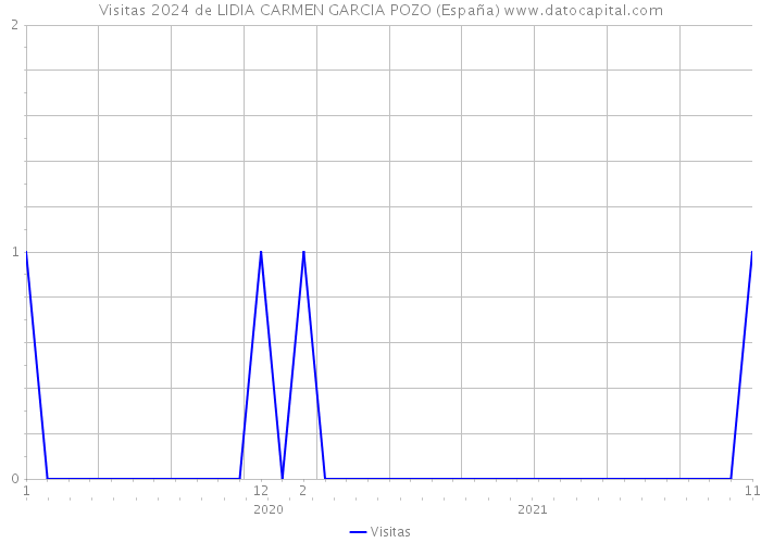 Visitas 2024 de LIDIA CARMEN GARCIA POZO (España) 