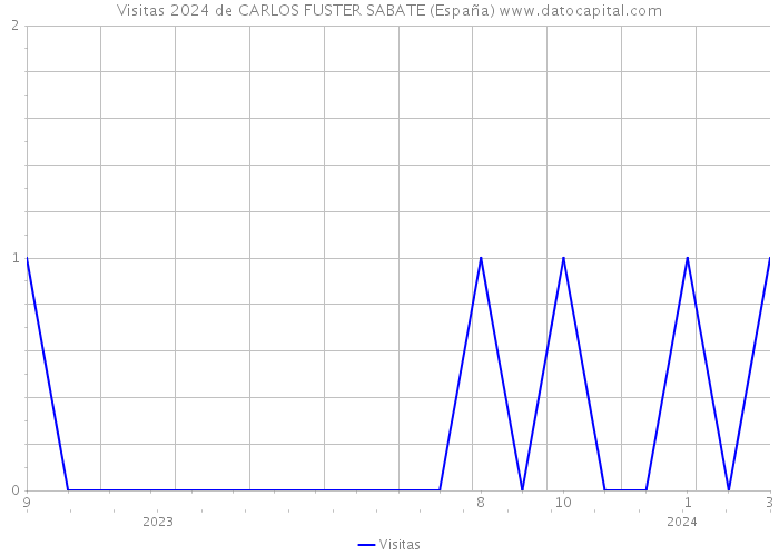 Visitas 2024 de CARLOS FUSTER SABATE (España) 