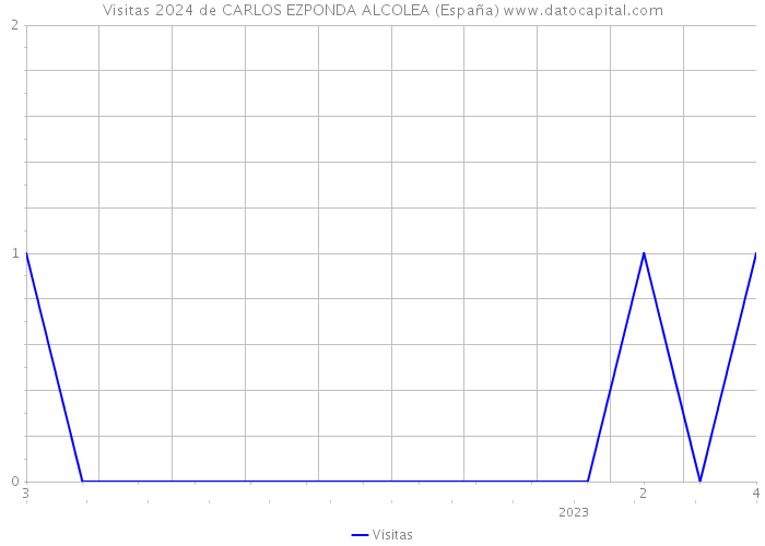 Visitas 2024 de CARLOS EZPONDA ALCOLEA (España) 