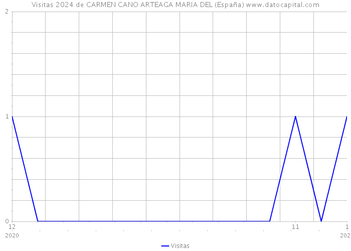 Visitas 2024 de CARMEN CANO ARTEAGA MARIA DEL (España) 