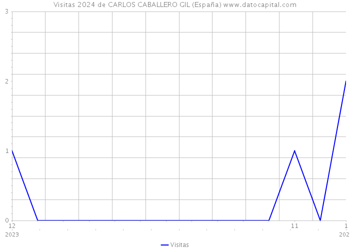 Visitas 2024 de CARLOS CABALLERO GIL (España) 