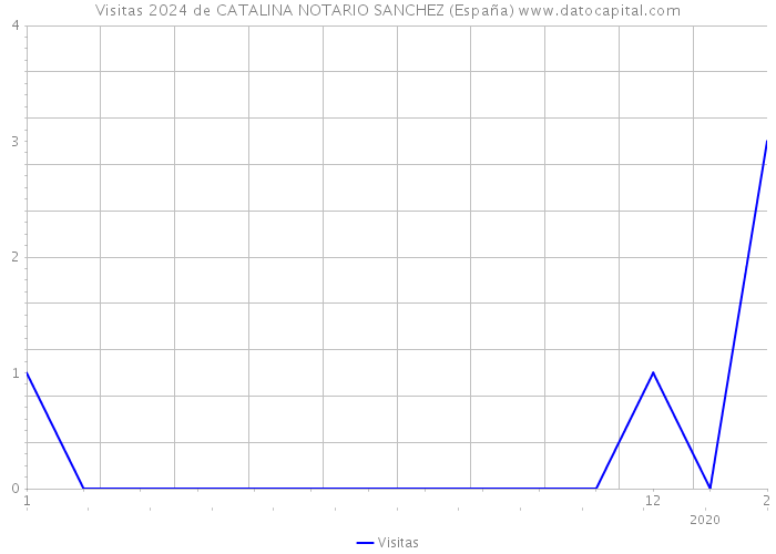 Visitas 2024 de CATALINA NOTARIO SANCHEZ (España) 