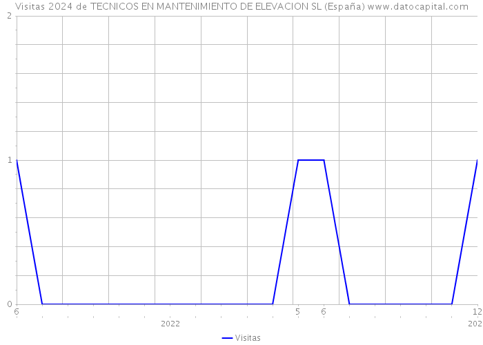 Visitas 2024 de TECNICOS EN MANTENIMIENTO DE ELEVACION SL (España) 
