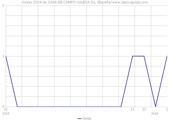 Visitas 2024 de CASA DE CAMPO GALEGA S.L. (España) 