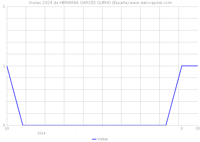 Visitas 2024 de HERMINIA GARCES GUENO (España) 