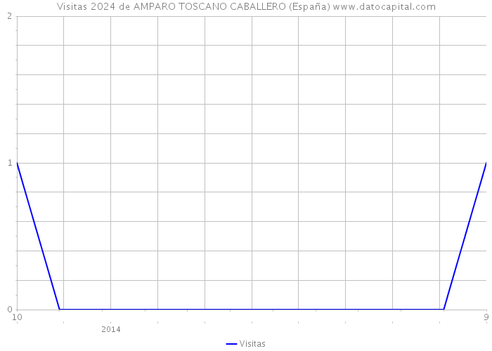 Visitas 2024 de AMPARO TOSCANO CABALLERO (España) 