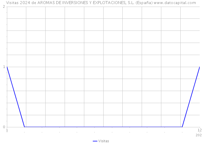 Visitas 2024 de AROMAS DE INVERSIONES Y EXPLOTACIONES, S.L. (España) 