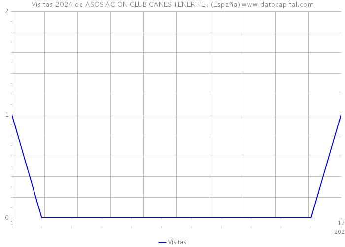 Visitas 2024 de ASOSIACION CLUB CANES TENERIFE . (España) 