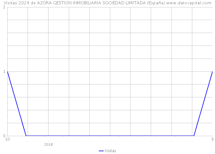 Visitas 2024 de AZORA GESTION INMOBILIARIA SOCIEDAD LIMITADA (España) 