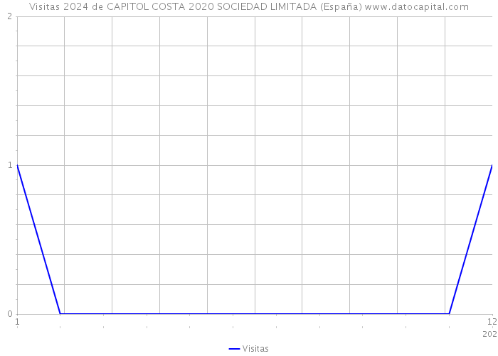 Visitas 2024 de CAPITOL COSTA 2020 SOCIEDAD LIMITADA (España) 