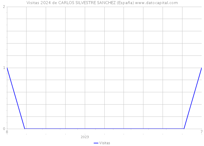 Visitas 2024 de CARLOS SILVESTRE SANCHEZ (España) 