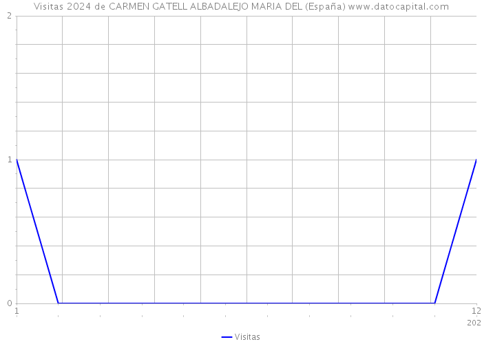 Visitas 2024 de CARMEN GATELL ALBADALEJO MARIA DEL (España) 