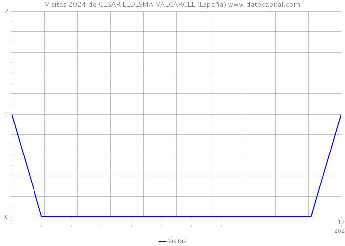 Visitas 2024 de CESAR LEDESMA VALCARCEL (España) 