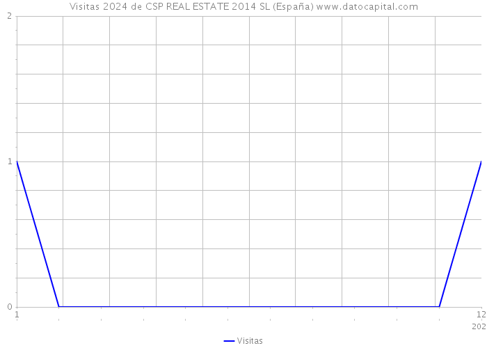 Visitas 2024 de CSP REAL ESTATE 2014 SL (España) 