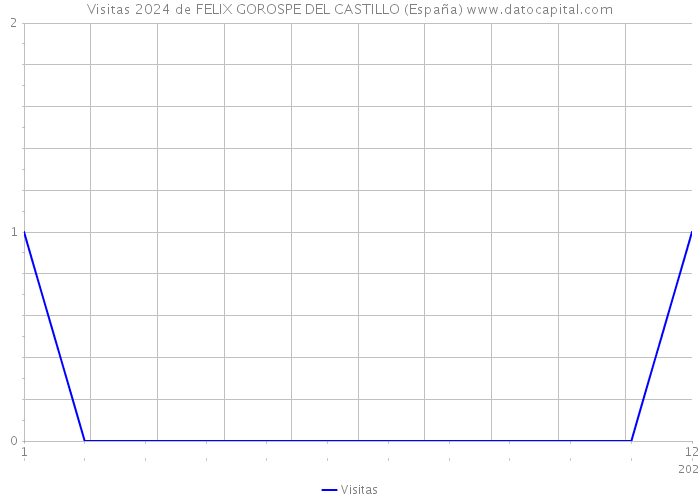 Visitas 2024 de FELIX GOROSPE DEL CASTILLO (España) 