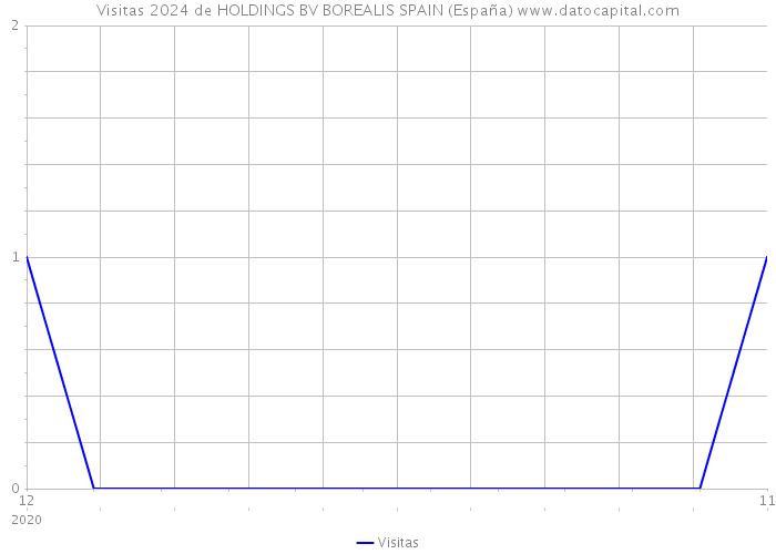 Visitas 2024 de HOLDINGS BV BOREALIS SPAIN (España) 