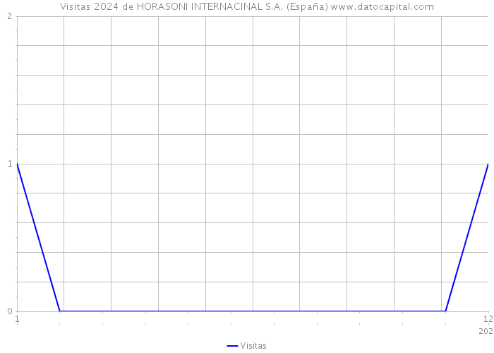 Visitas 2024 de HORASONI INTERNACINAL S.A. (España) 