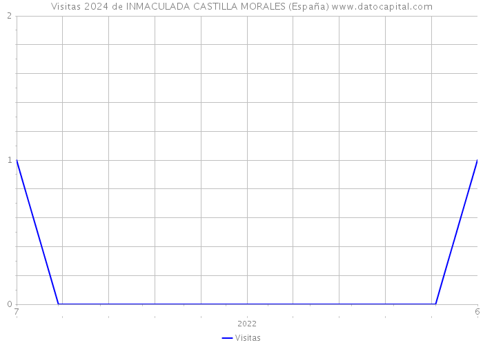 Visitas 2024 de INMACULADA CASTILLA MORALES (España) 
