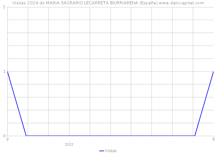 Visitas 2024 de MARIA SAGRARIO LEGARRETA BIURRIARENA (España) 