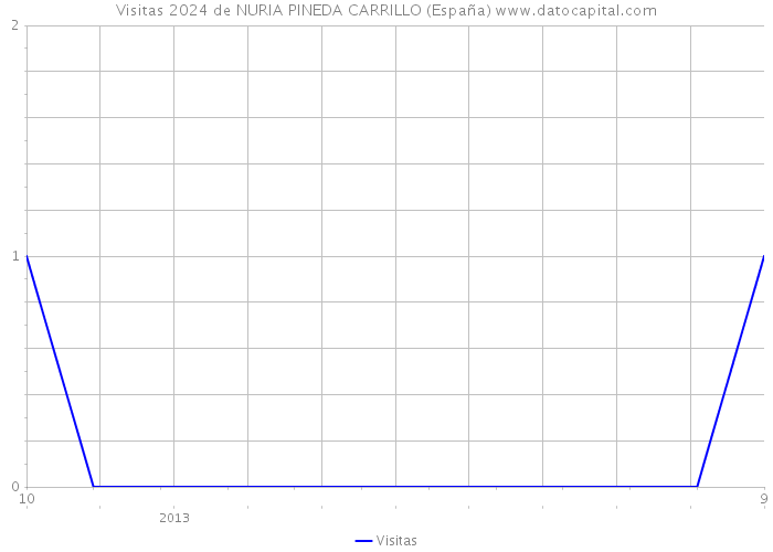 Visitas 2024 de NURIA PINEDA CARRILLO (España) 