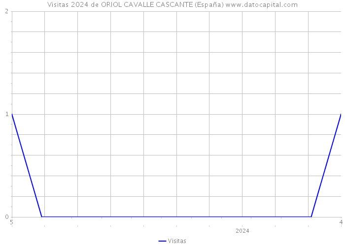Visitas 2024 de ORIOL CAVALLE CASCANTE (España) 