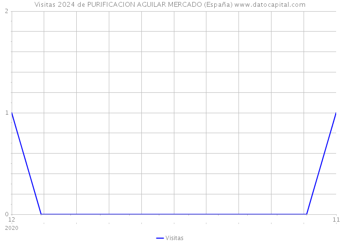 Visitas 2024 de PURIFICACION AGUILAR MERCADO (España) 