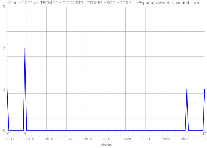 Visitas 2024 de TECNICOA Y CONSTRUCTORES ASOCIADOS S.L. (España) 