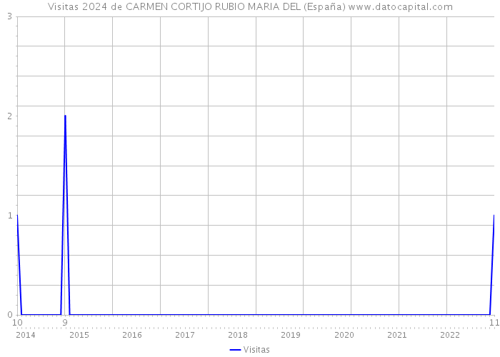 Visitas 2024 de CARMEN CORTIJO RUBIO MARIA DEL (España) 