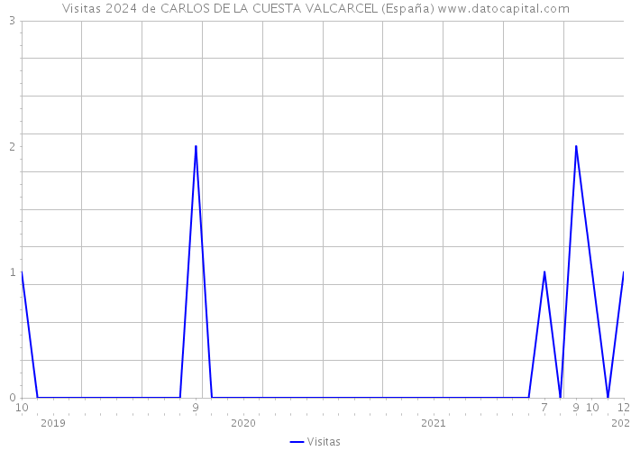 Visitas 2024 de CARLOS DE LA CUESTA VALCARCEL (España) 