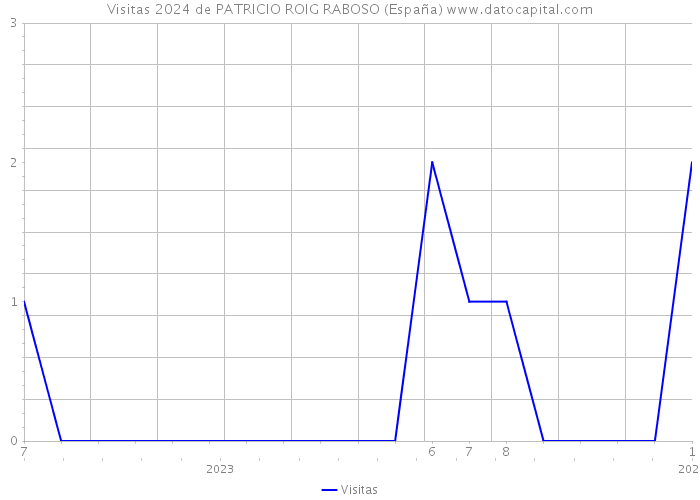 Visitas 2024 de PATRICIO ROIG RABOSO (España) 